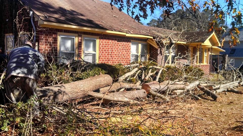 Hurricane Tree Prep for Coastal Georgia: Before, During & After the Storm